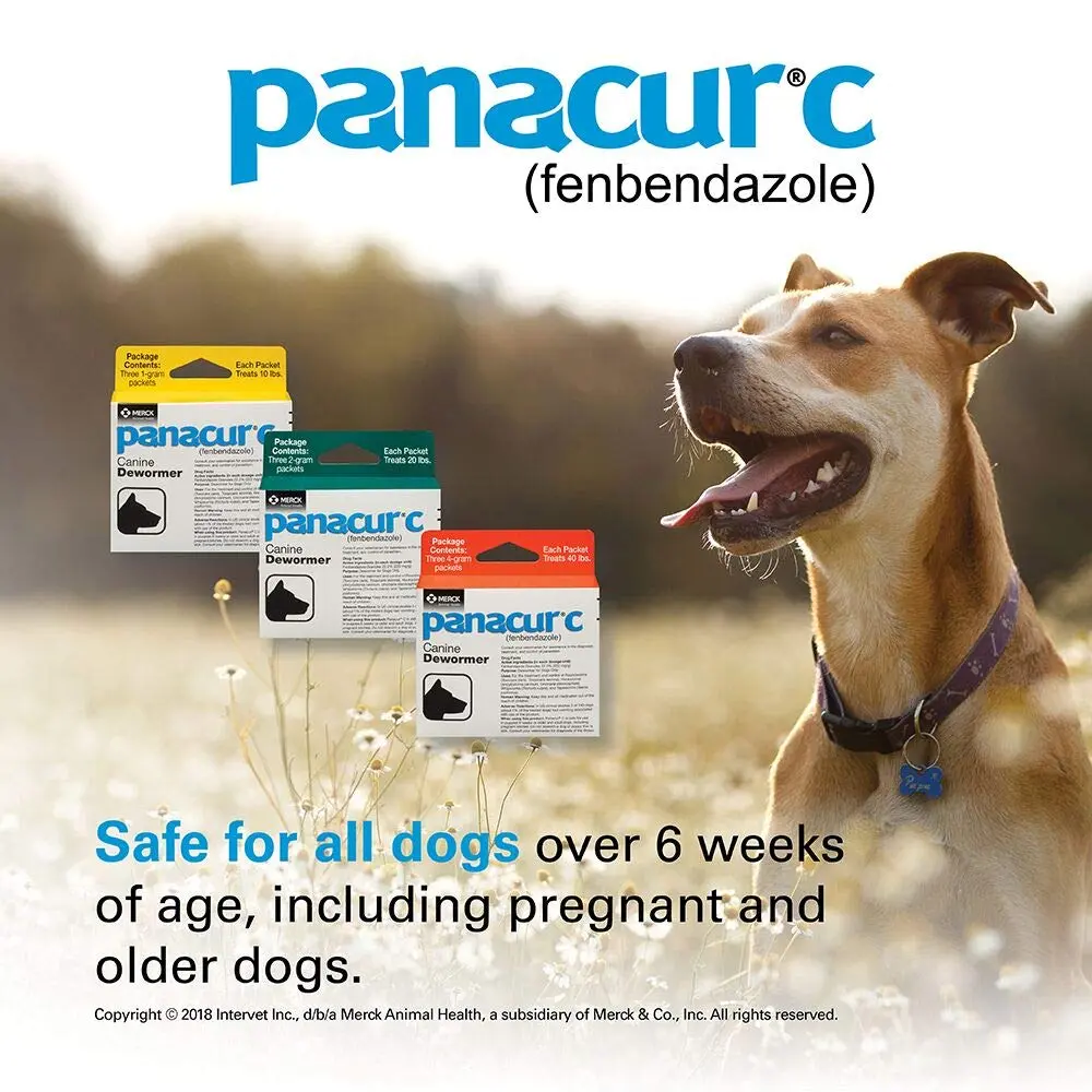 Panacur Canine Dewormer 2g | Treats Roundworms, Hookworms, Whipworms & Tapeworms in Dogs - view 3