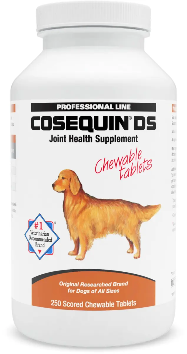 Nutramax Cosequin Joint Supplement for Dogs, Chewable Tablets, 250 Count | Glucosamine & Chondroitin for Joint Health - main product image