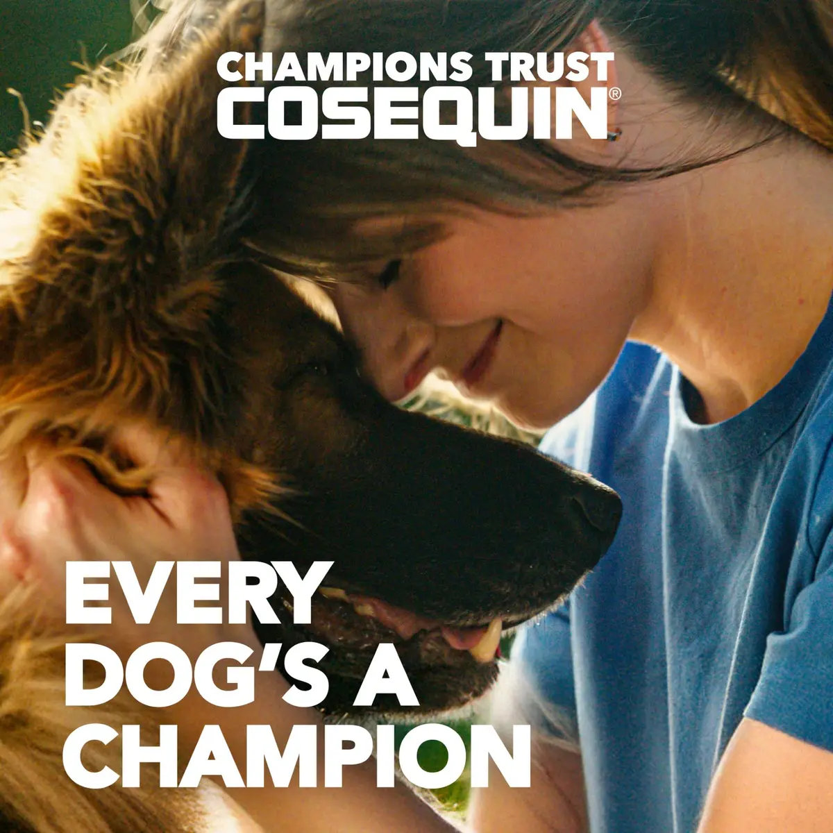 Nutramax Cosequin Joint Supplement for Dogs, Chewable Tablets, 250 Count | Glucosamine & Chondroitin for Joint Health - view 2