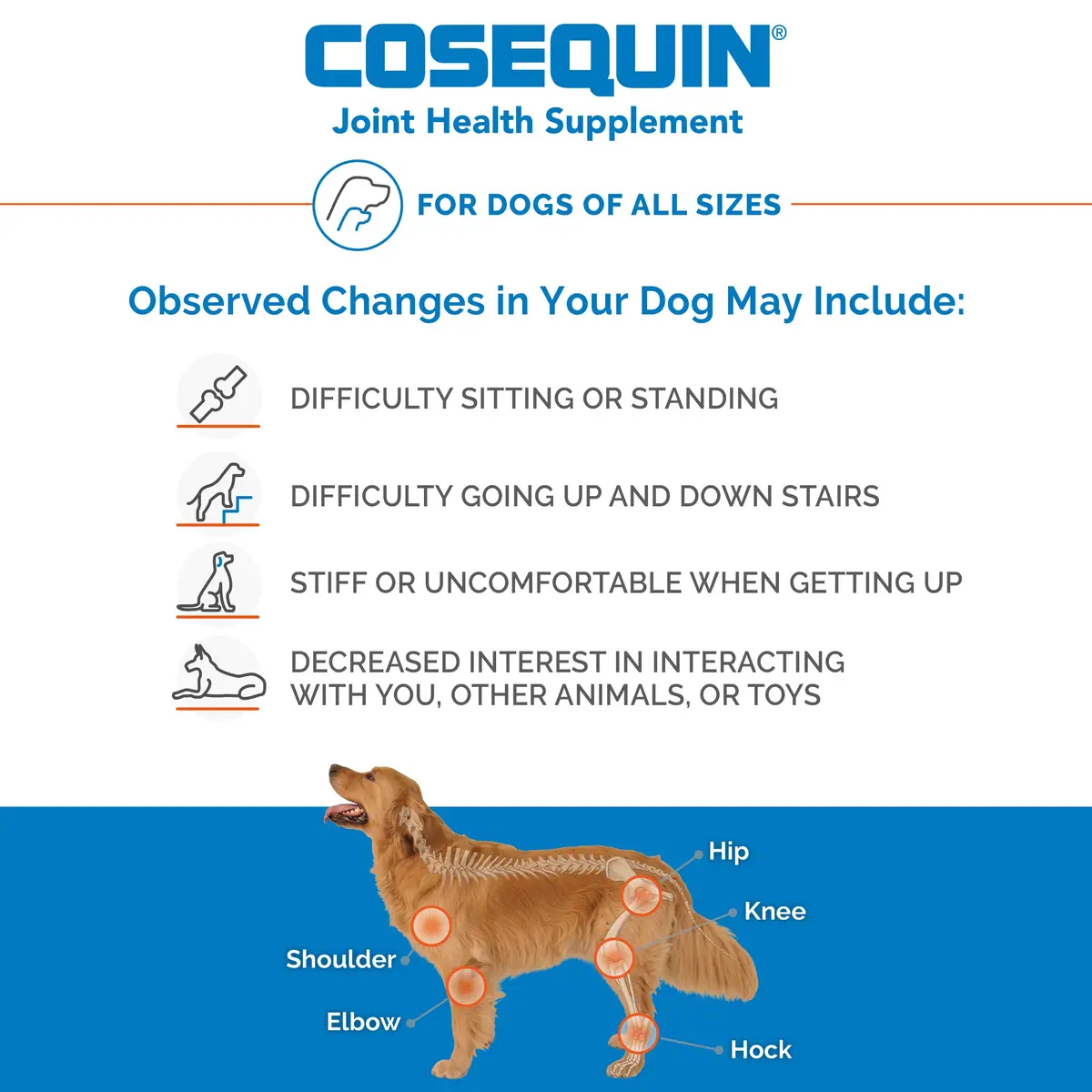 Nutramax Cosequin Joint Supplement for Dogs, Chewable Tablets, 250 Count | Glucosamine & Chondroitin for Joint Health - view 3