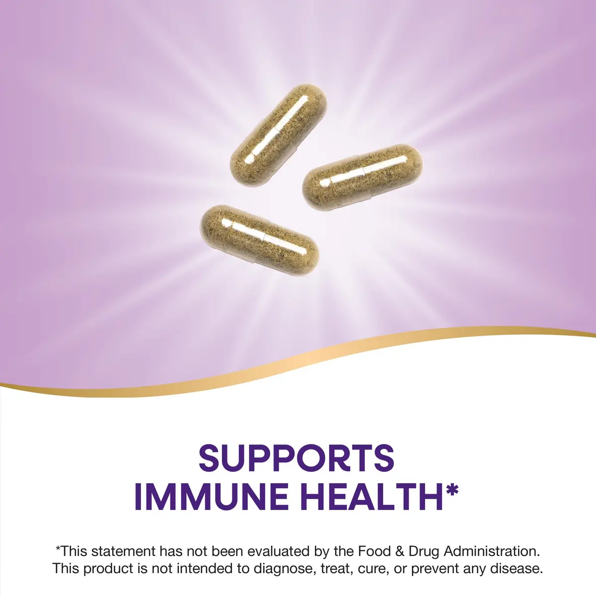 Nature's Way Echinacea, Astragalus & Reishi Immune Blend, 100 Capsules | Supports Immune Health & Wellness - view 3