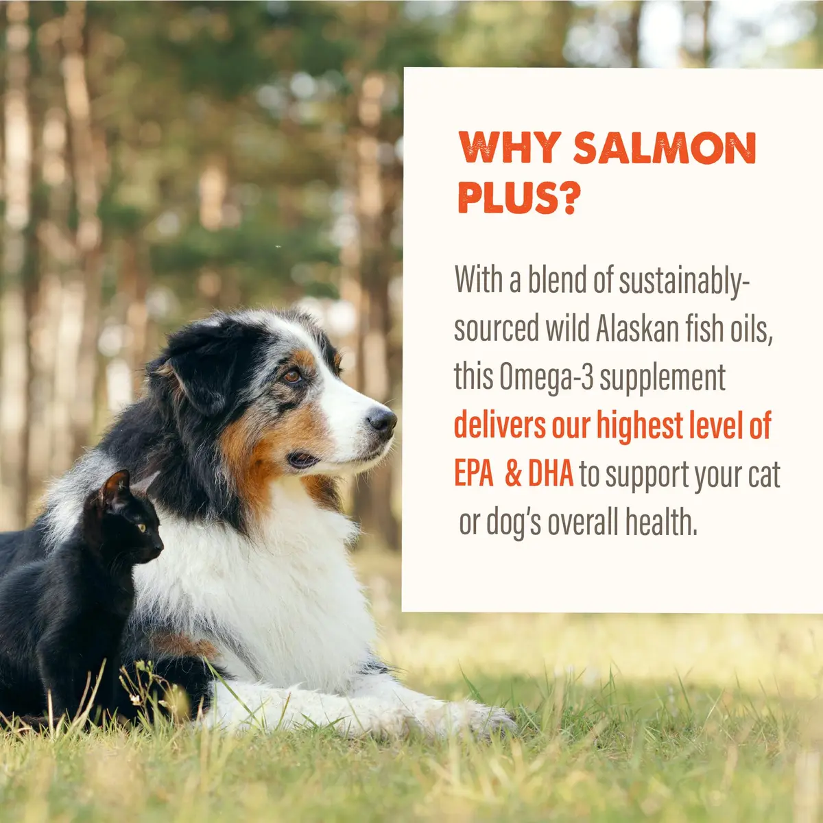 Grizzly Salmon Plus Omega 3-6-9 Food Supplement for Dogs & Cats, 4 oz | Supports Heart, Skin & Coat - view 5