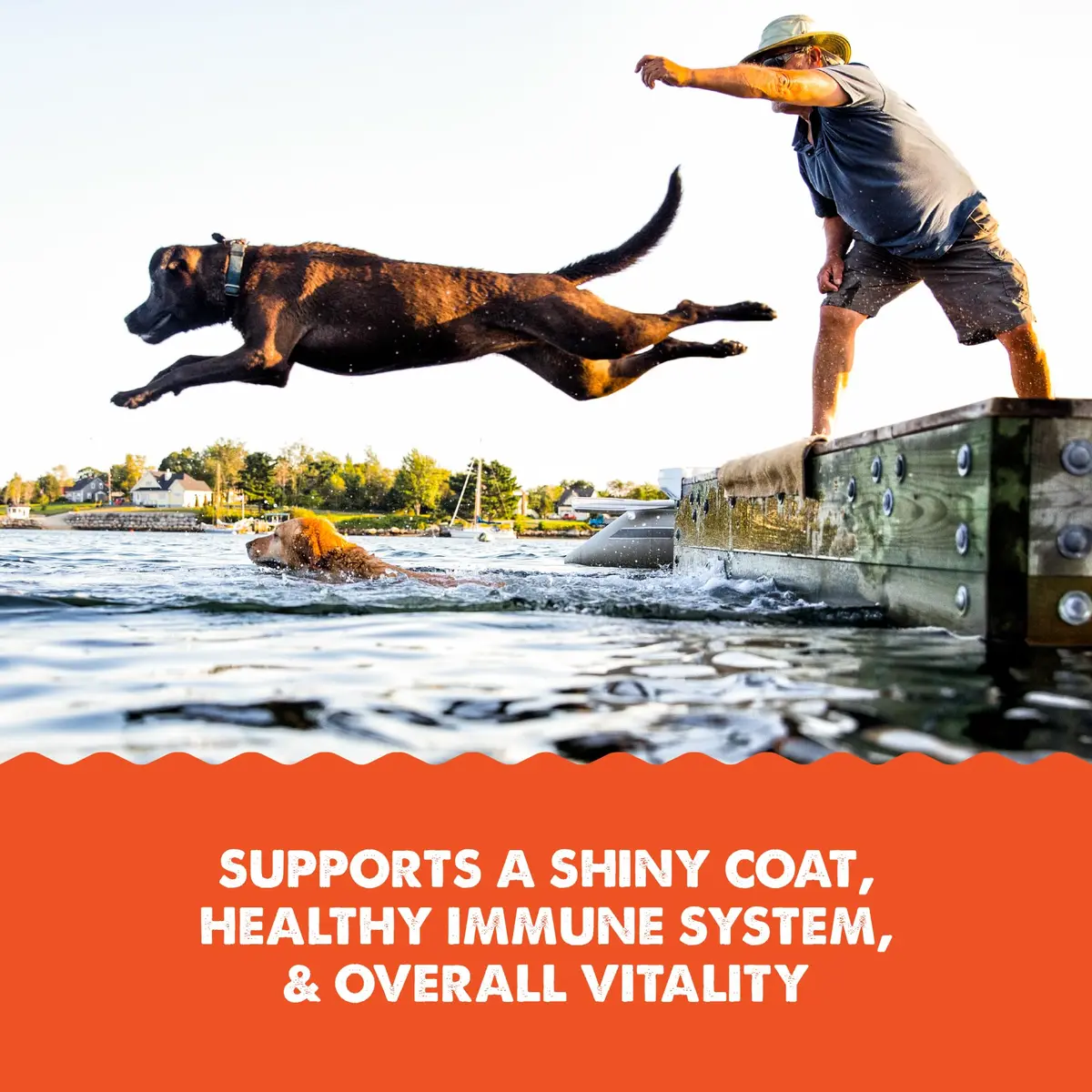 Grizzly Salmon Plus Omega 3-6-9 Food Supplement for Dogs & Cats, 4 oz | Supports Heart, Skin & Coat - view 4