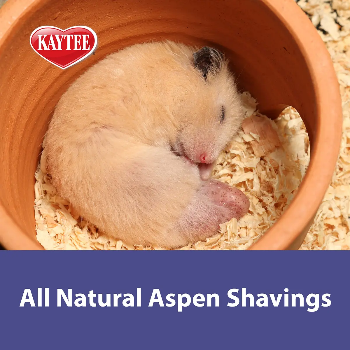 Kaytee Aspen Bedding for Small Animals 19.7 Liter | Dust-Free Aspen Shavings for Hamsters & Rabbits - view 3