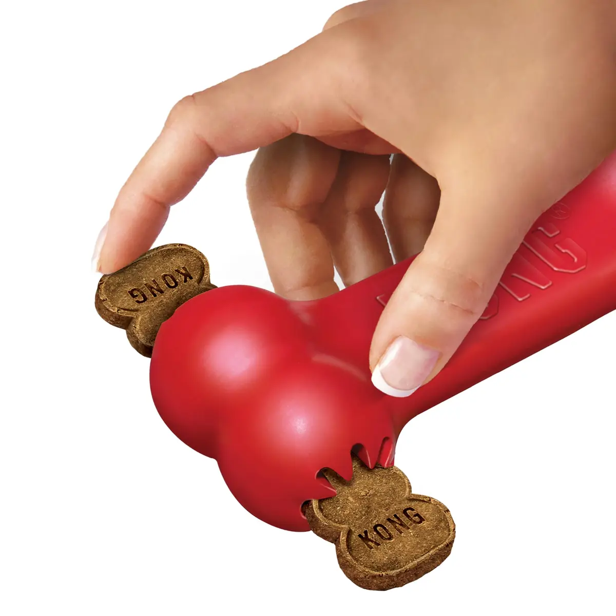 KONG Goodie Bone Natural Rubber Treat-Dispensing Dog Toy Medium | Durable Chew Toy for Dogs - view 4