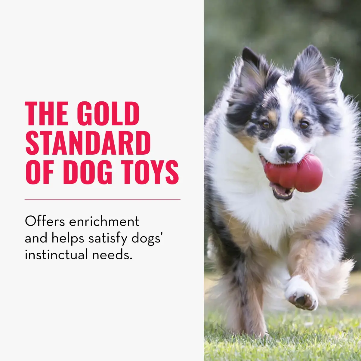KONG Classic Stuffable Dog Toy, Natural Rubber Chew, Small Dog | Durable Treat-Filling Toy with Erratic Bounce - view 3
