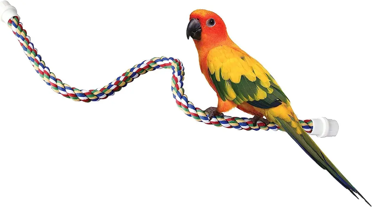 JW Pet Comfy Perch for Birds Flexible Multi-color Rope, Medium - 32" Length | Stimulates & Supports Bird Feet - view 5