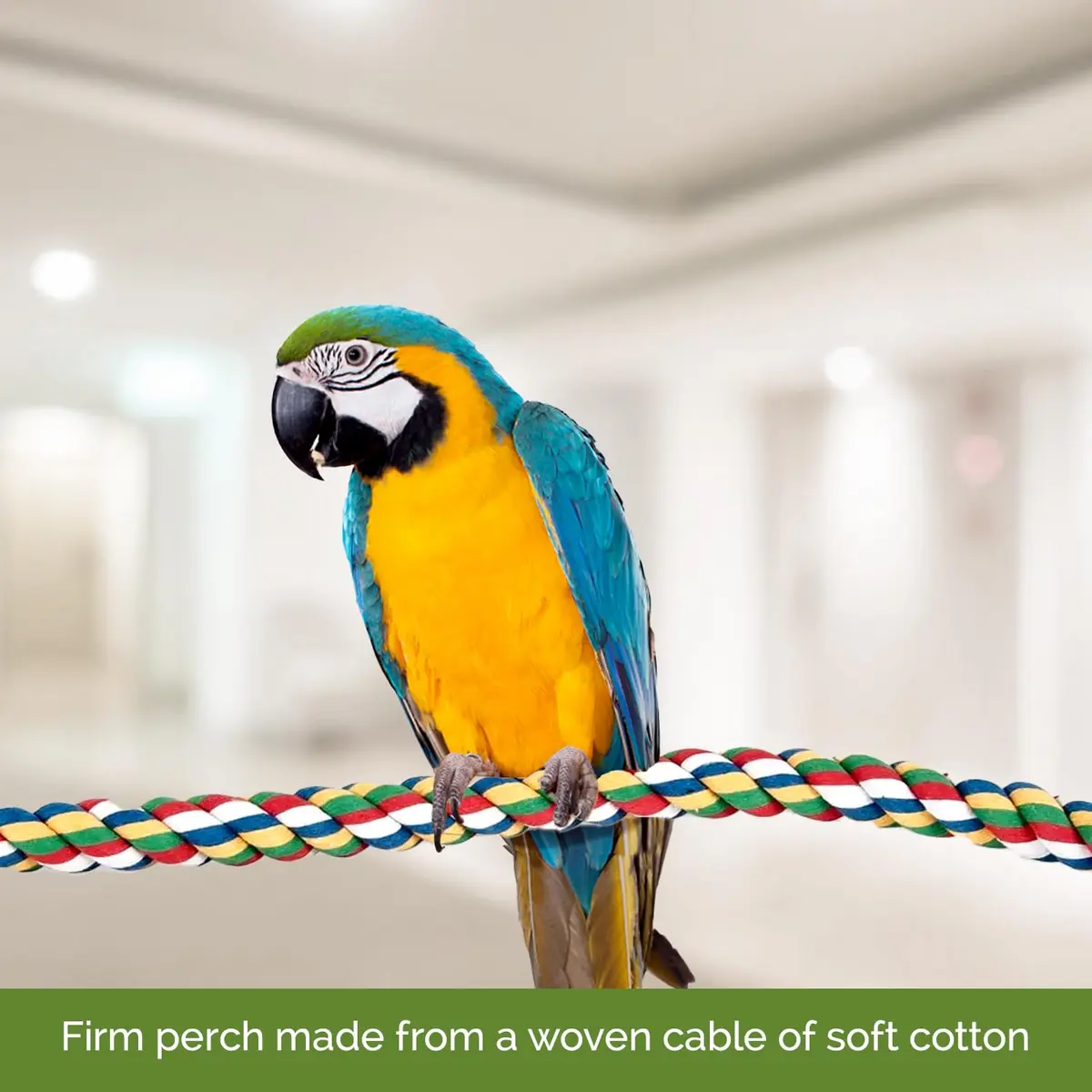 JW Pet Comfy Perch for Birds Flexible Multi-color Rope, Medium - 32" Length | Stimulates & Supports Bird Feet - view 2