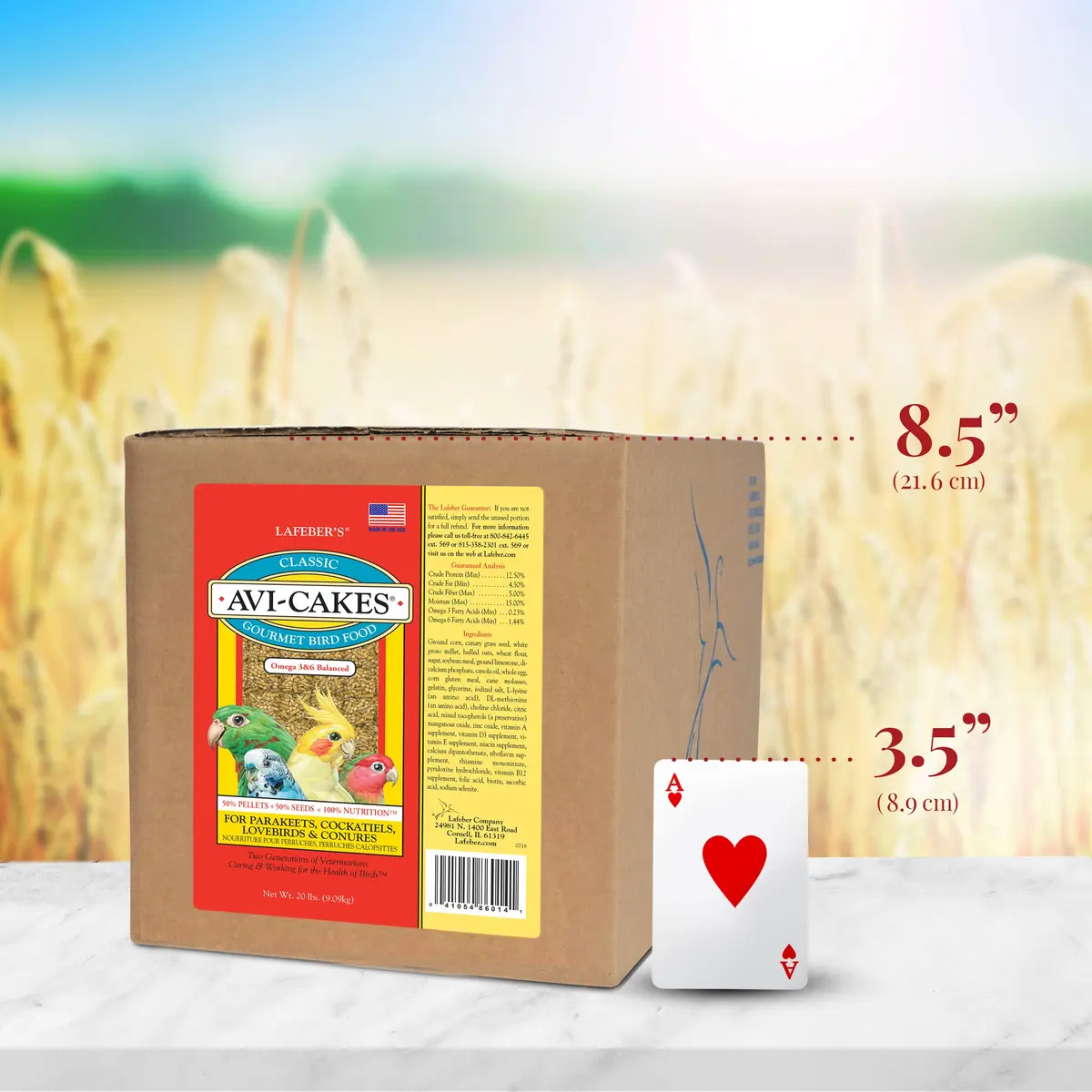 LAFEBER'S Classic Avi-Cakes for Cockatiels & Parakeets 9.07 kg (20 lb) | Nutritionally Complete Foraging Food - view 5