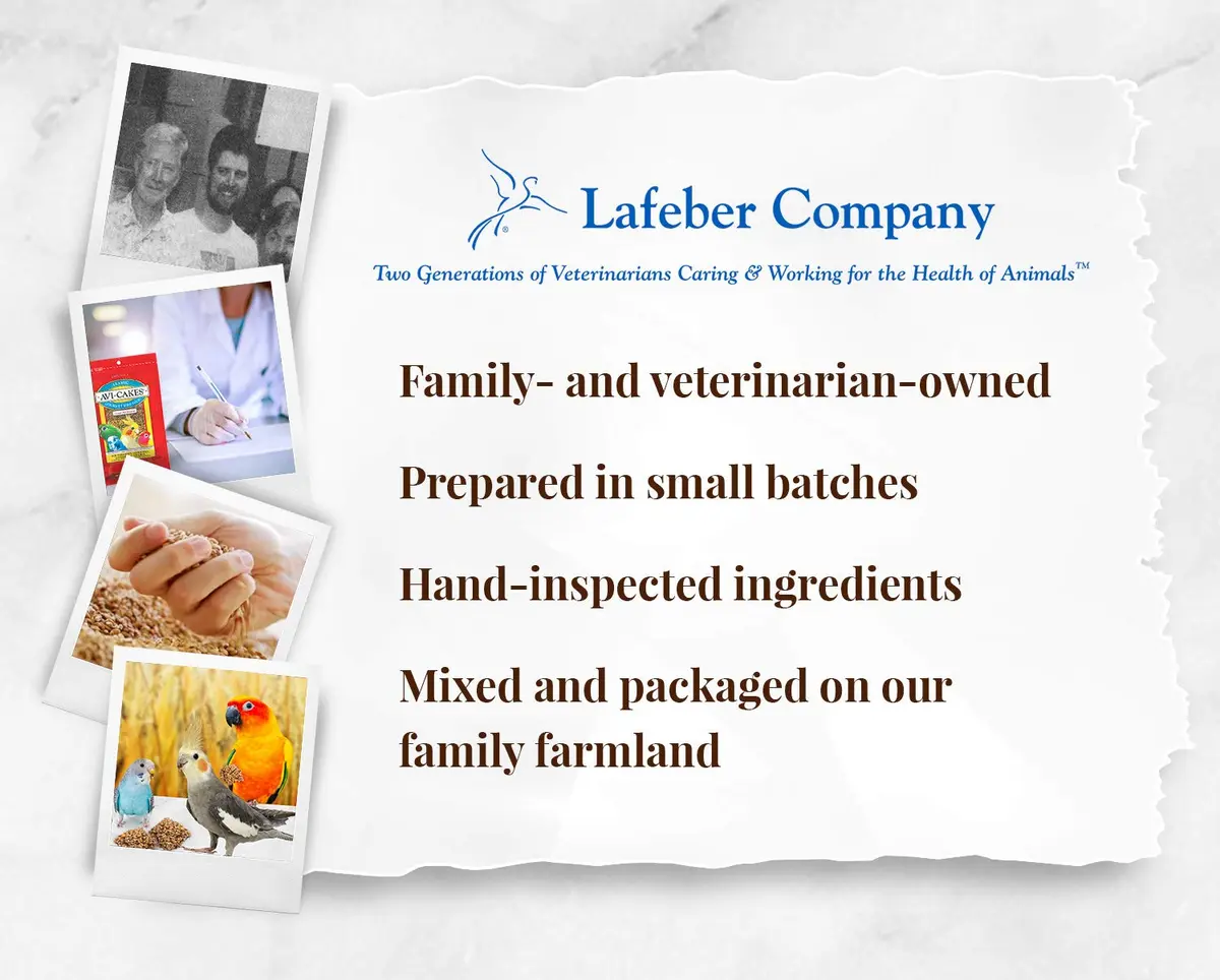 LAFEBER'S Classic Avi-Cakes for Cockatiels & Parakeets 9.07 kg (20 lb) | Nutritionally Complete Foraging Food - view 7
