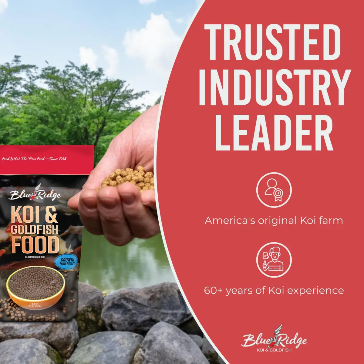 Blue Ridge Koi Fish Food 2lb - Mini Growth Formula Floating Pellets | Premium Koi & Goldfish Food for Ponds - view 7