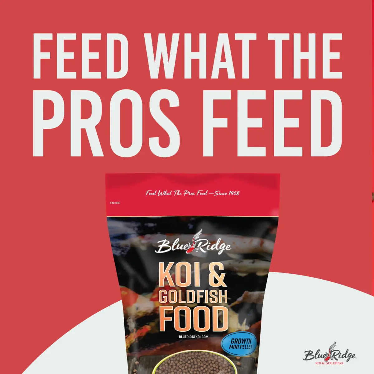 Blue Ridge Koi Fish Food 2lb - Mini Growth Formula Floating Pellets | Premium Koi & Goldfish Food for Ponds - view 3