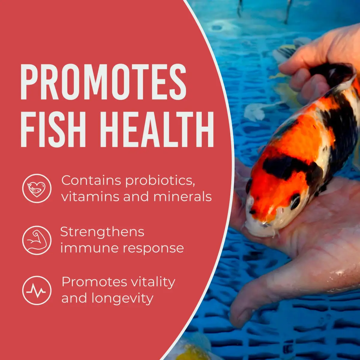 Blue Ridge Koi Fish Food, Growth Formula Mini, 1/8" Pellets, 5 lb (2.27 kg) | Supports Vibrant Color & Active Growth - view 6