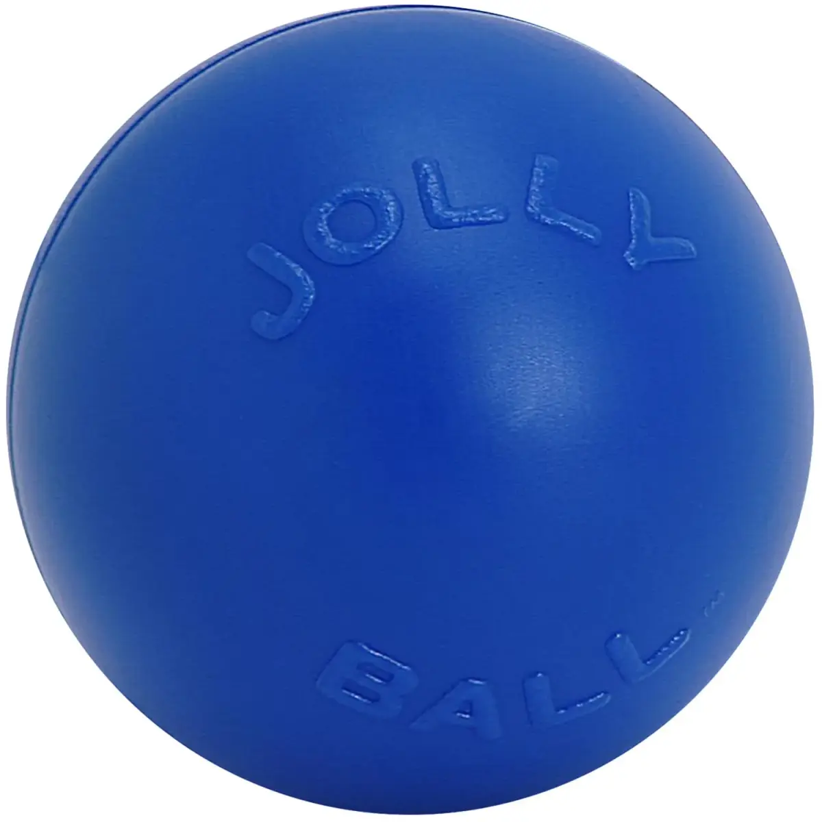 Jolly Pets Push-n-Play Ball Dog Toy 10 Inches Large Blue | Heavy Duty for Large Dogs - main product image