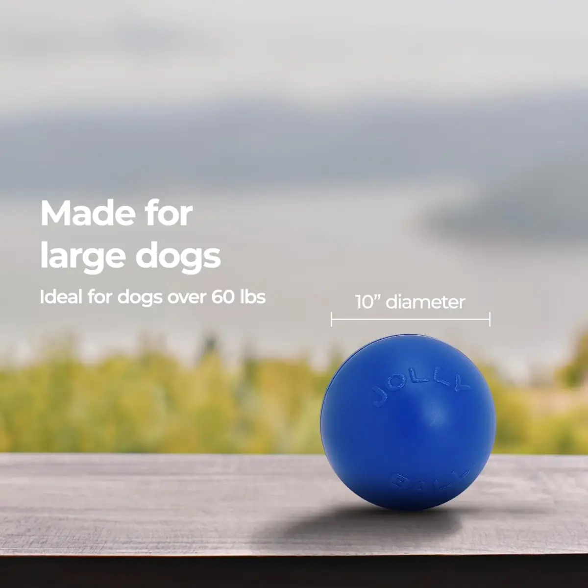 Jolly Pets Push-n-Play Ball Dog Toy 10 Inches Large Blue | Heavy Duty for Large Dogs - view 6