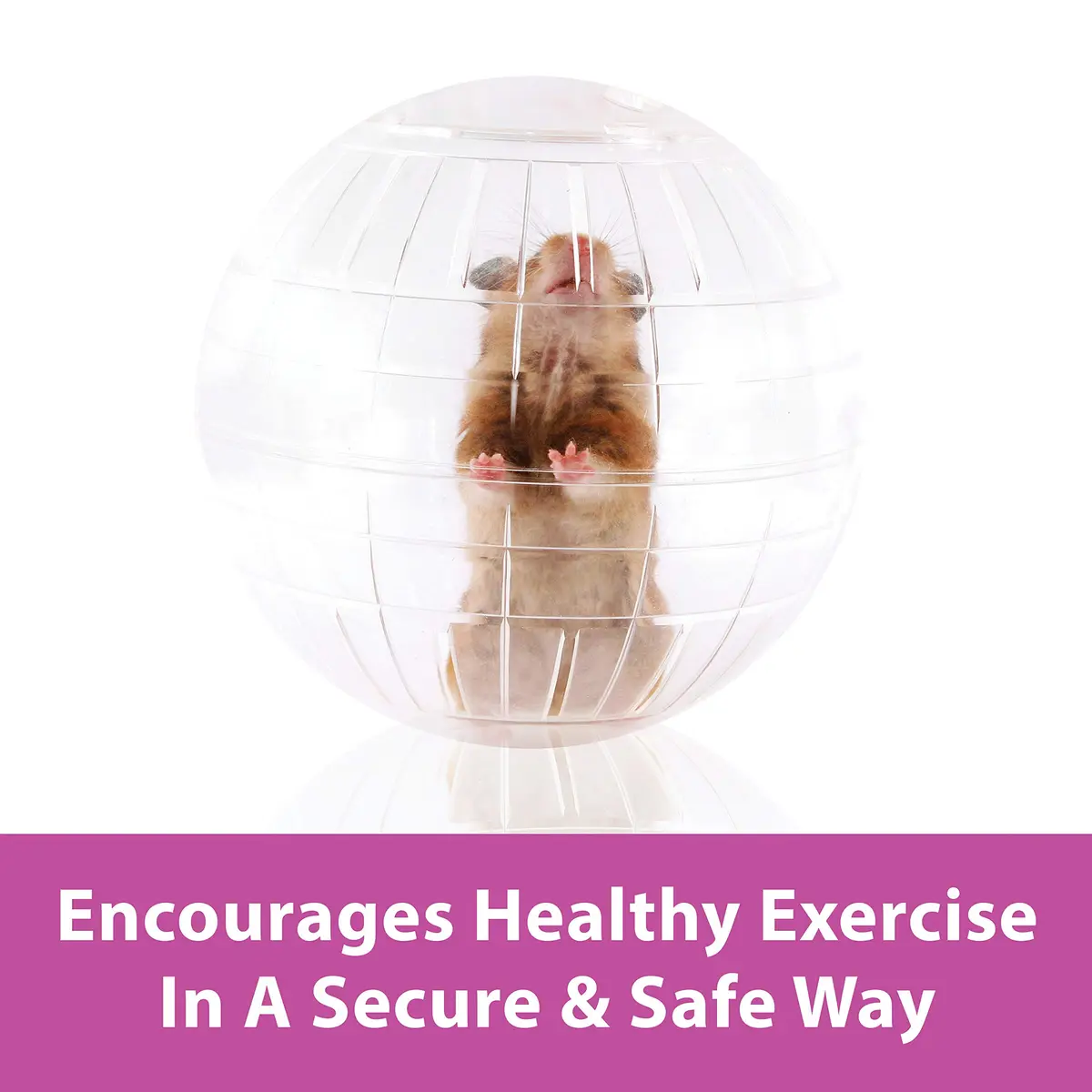 Kaytee 7" Clear Run-About Exercise Ball for Hamster & Gerbil Pets | Safe, Durable Polycarbonate, 7-Inch Diameter, Clear - view 2