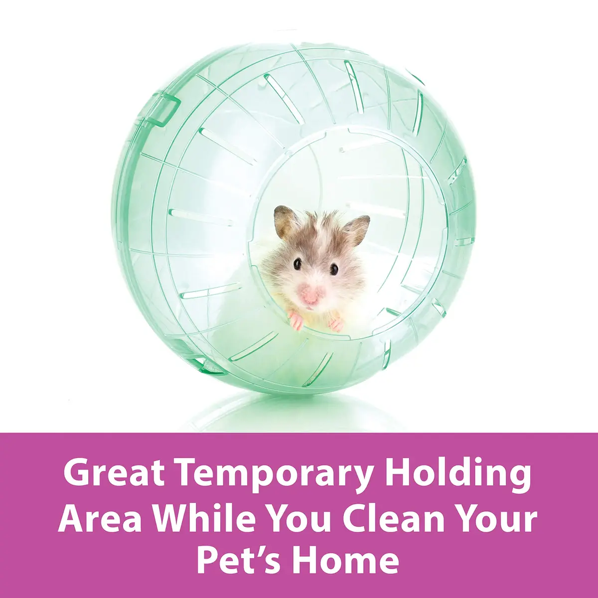 Kaytee 7" Clear Run-About Exercise Ball for Hamster & Gerbil Pets | Safe, Durable Polycarbonate, 7-Inch Diameter, Clear - view 3