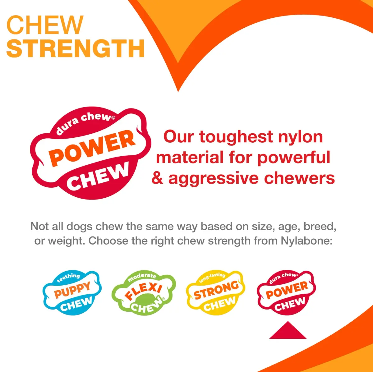 Nylabone Power Chew Original Bone Dog Chew Toy, X-Small | Durable Nylon Chew for Dogs Up to 15 lbs - view 4