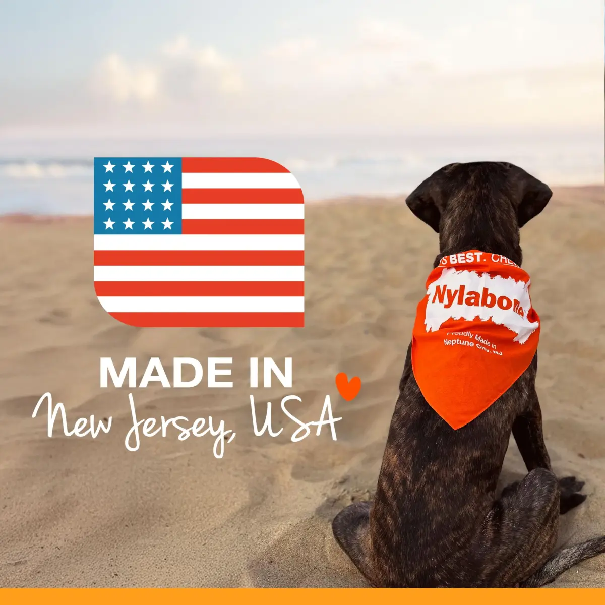 Nylabone Power Chew Classic Bone Dog Toy, Durable for Aggressive Chewers, Chicken Flavor, Large/Giant (Up to 50 lbs) - view 7