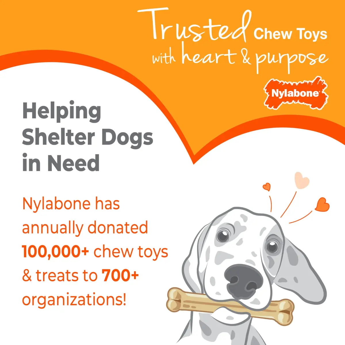 Nylabone Puppy Chew Teething Knuckle Bone Dog Chew Toy, Chicken Flavor, X-Large (0.35 lb) - view 9