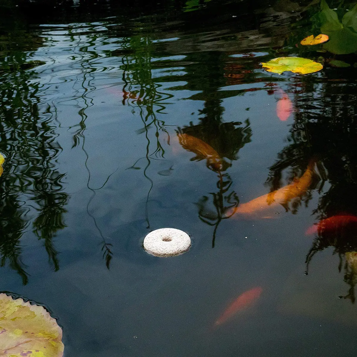 Summit Pond Mosquito Dunks 2 Pack | Natural Larvicide for Standing Water - view 3