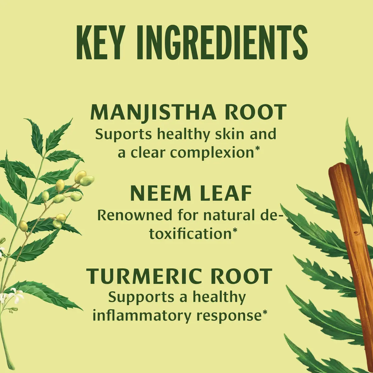 Banyan Botanicals Organic Blood Cleanse Tablets | Natural Liver & Skin Detox Support - view 2