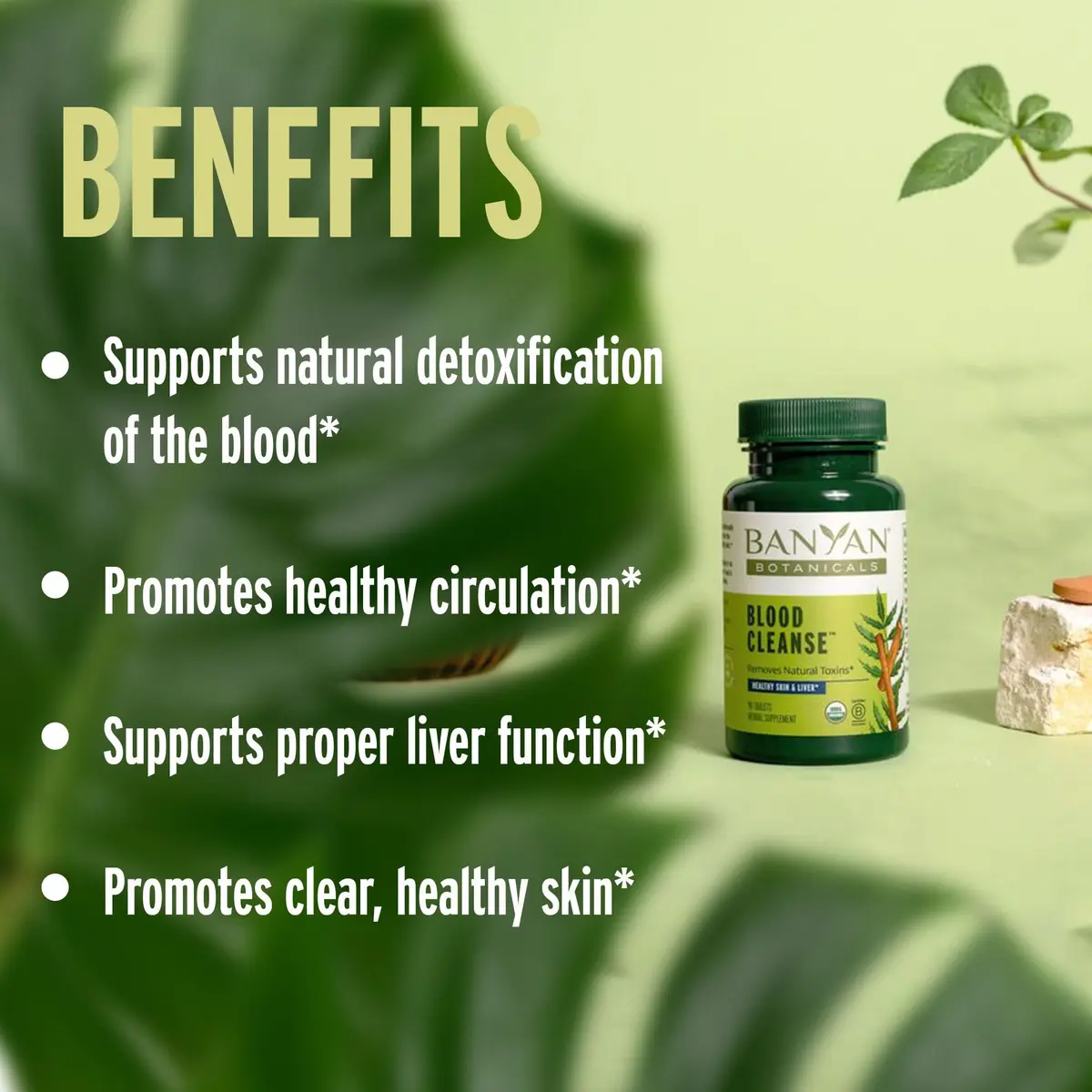 Banyan Botanicals Organic Blood Cleanse Tablets | Natural Liver & Skin Detox Support - view 3