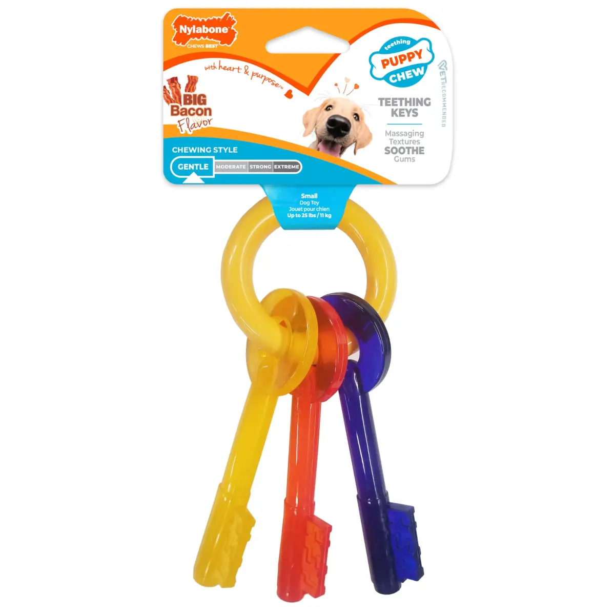 Nylabone Puppy Chew Teething Key Ring Dog Chew Toy, Bacon Flavor, Small | Soothes Gums & Cleans Teeth - main product image