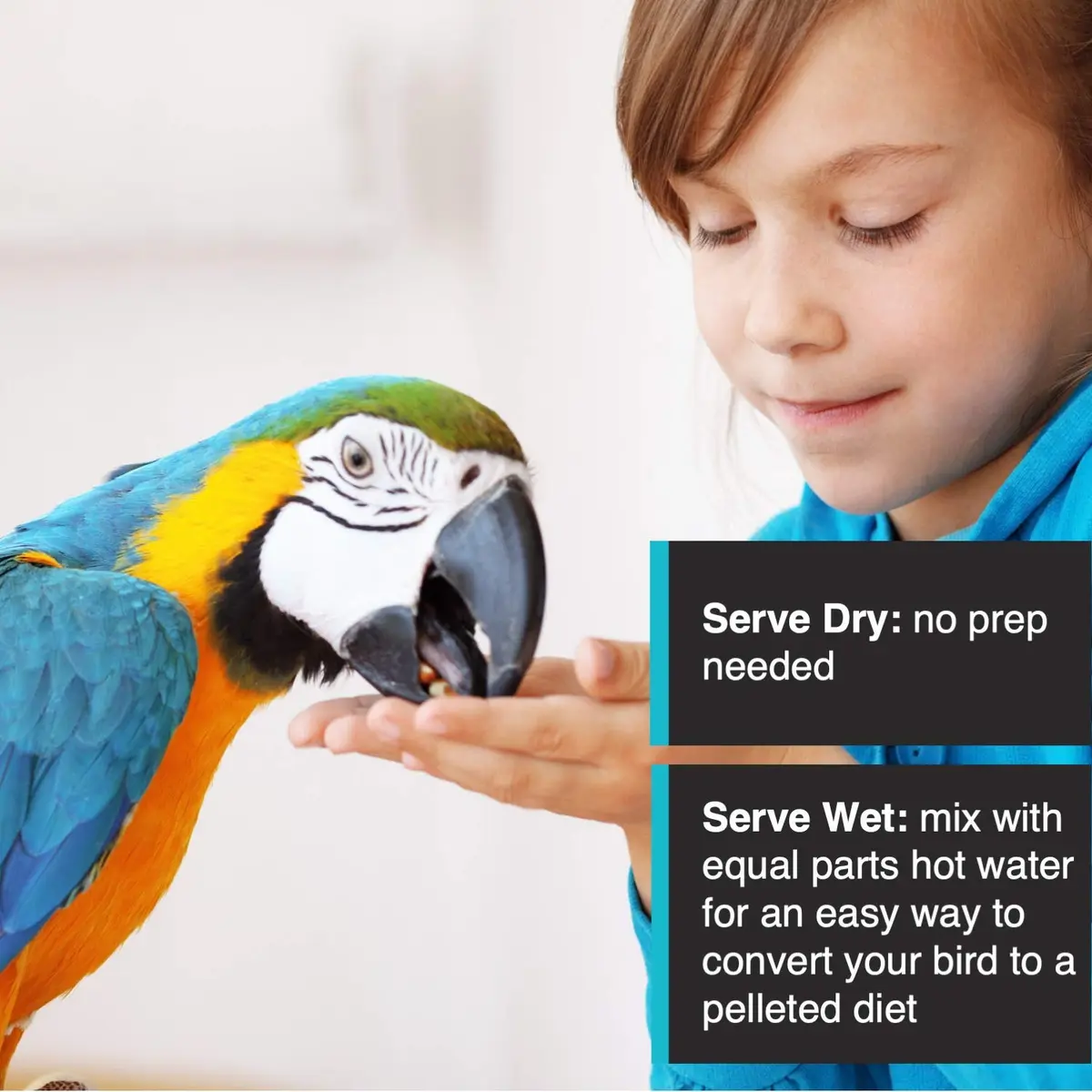 Hari Tropimix Bird Food, Large Parrot Food with Seeds, Fruit, 9.07kg (20 lb) | Supports Feather Growth & Vivid Colors - view 6