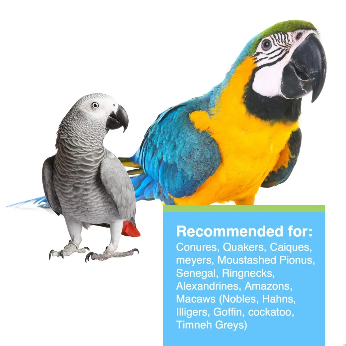 Hari Tropimix Bird Food, Large Parrot Food with Seeds, Fruit, 9.07kg (20 lb) | Supports Feather Growth & Vivid Colors - view 3