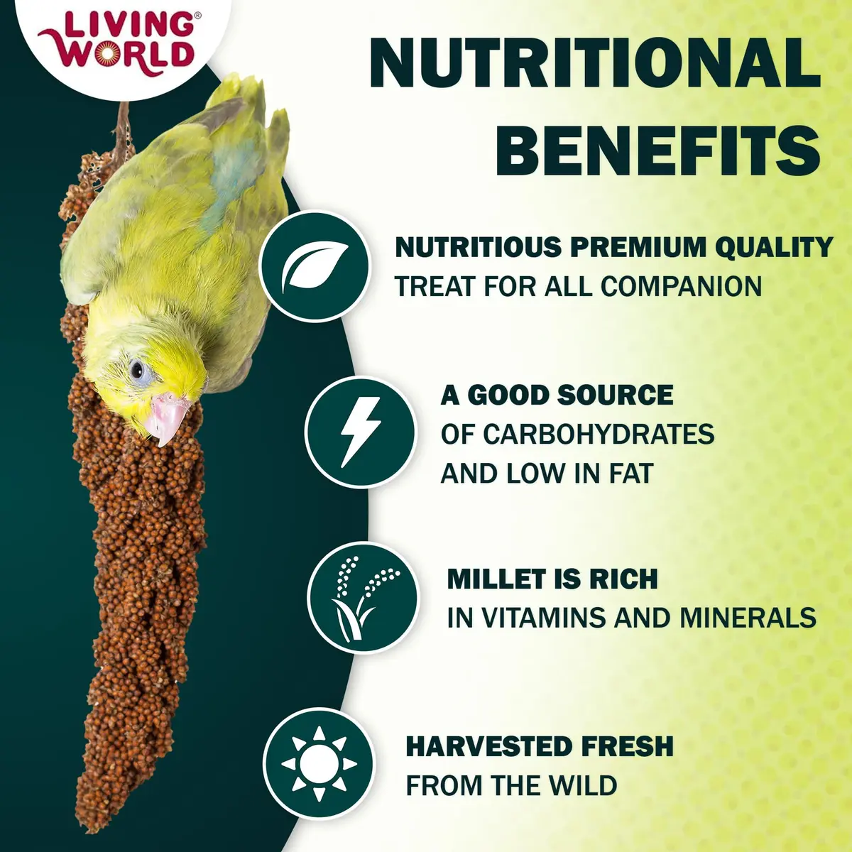 Living World Millet Spray for Birds 99g (3.5 Oz) | Natural, Additive-Free Treat for Parakeets, Finches, Canaries - view 2