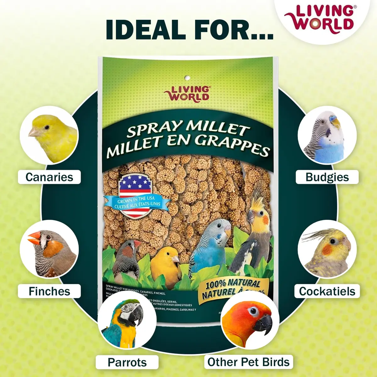 Living World Millet Spray for Birds 99g (3.5 Oz) | Natural, Additive-Free Treat for Parakeets, Finches, Canaries - view 4