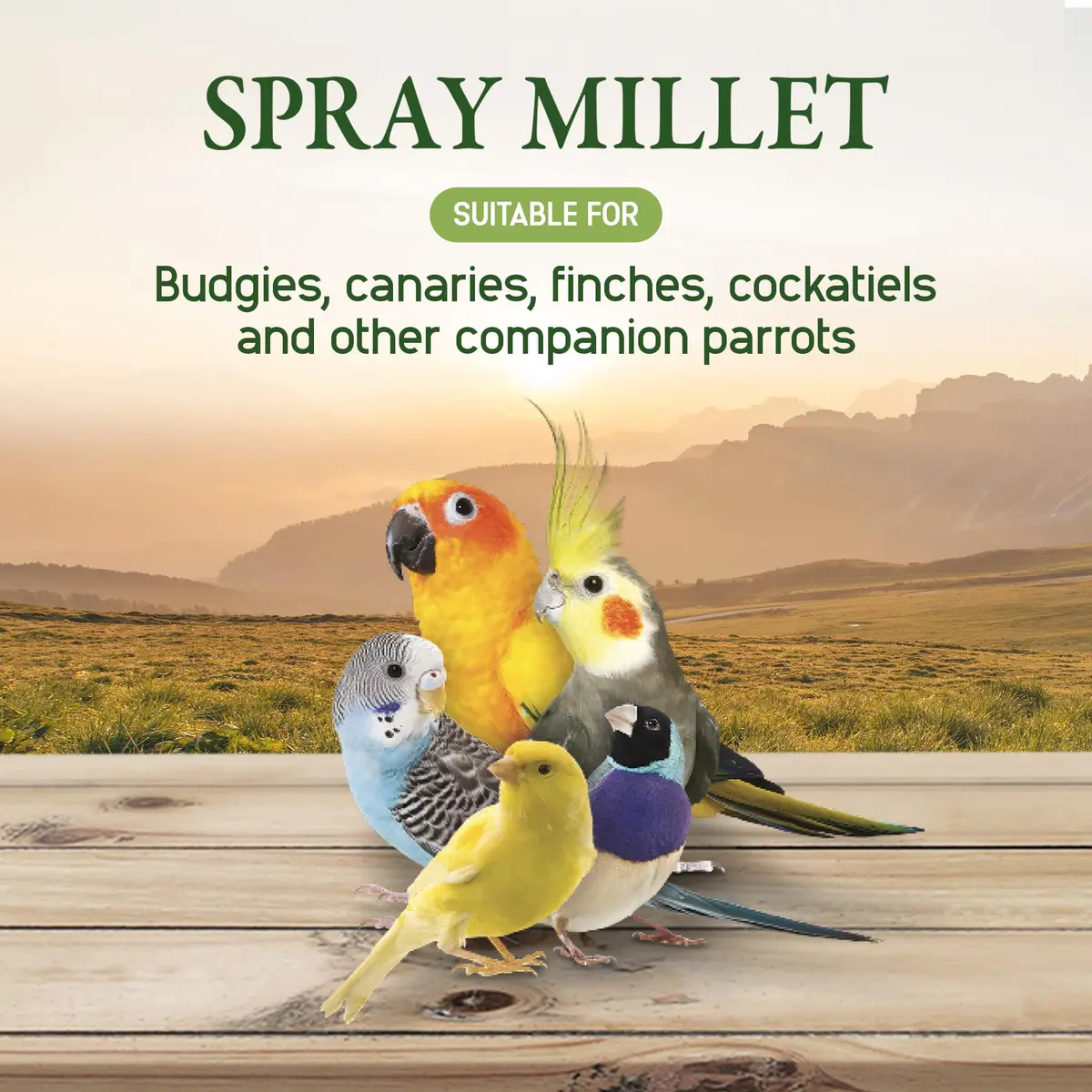 Living World Millet Spray for Birds 17.6 Oz | Natural, Fresh & All-Natural Bird Treat - view 5