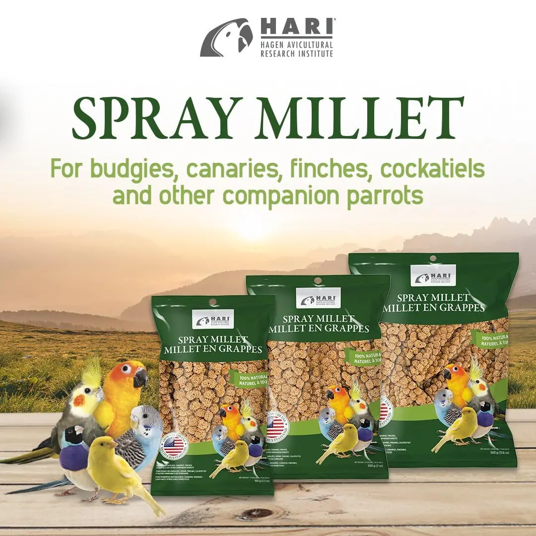 Living World Millet Spray for Birds 17.6 Oz | Natural, Fresh & All-Natural Bird Treat - view 6