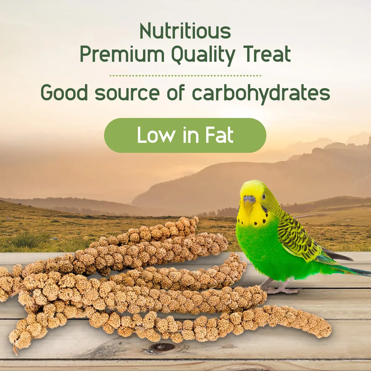Living World Millet Spray for Birds 17.6 Oz | Natural, Fresh & All-Natural Bird Treat - view 4