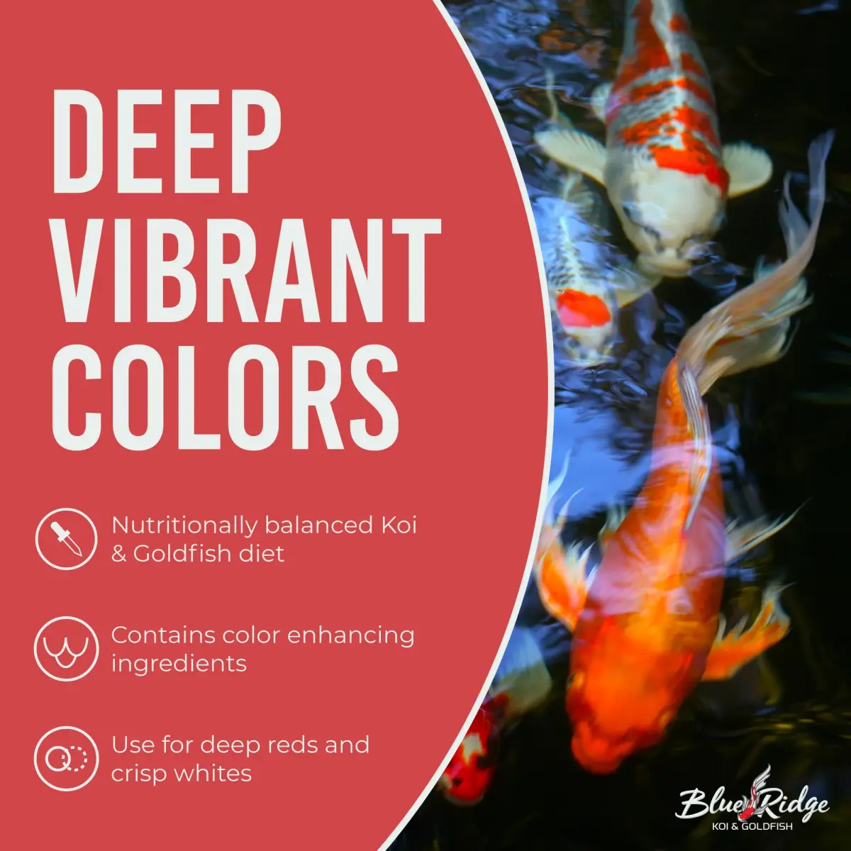 Blue Ridge Koi Fish Food Growth Formula Mini 12.56 kg (25 lb) | 36% Protein for Active Growth - view 5