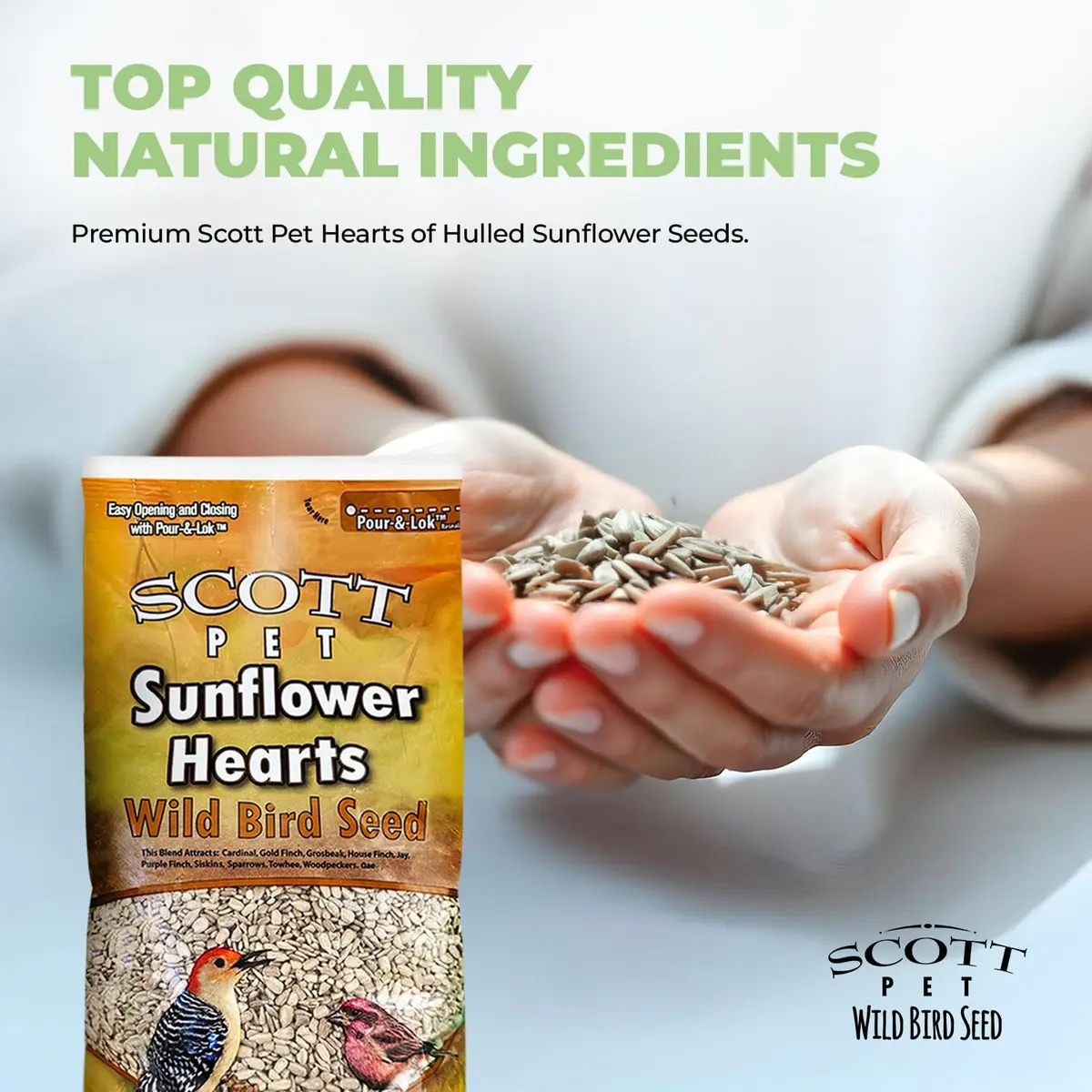 Scott Pet Wild Bird Seed Sunflower Hearts No Shells 8lb | High Protein for Backyard Birds - view 4