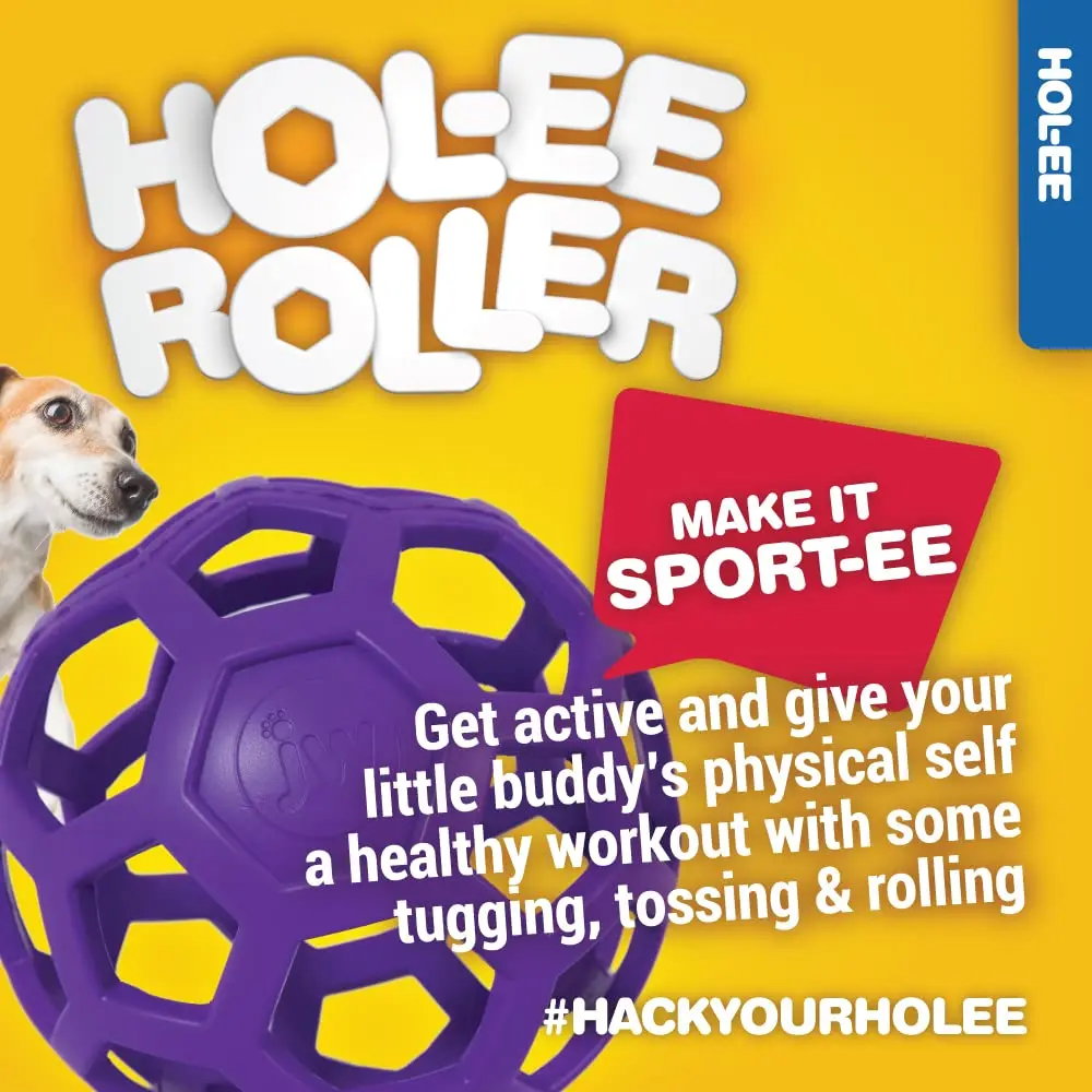 JW Hol-ee Roller Dog Toy 4.5in | Durable Rubber Puzzle Ball for Active Dogs - view 5