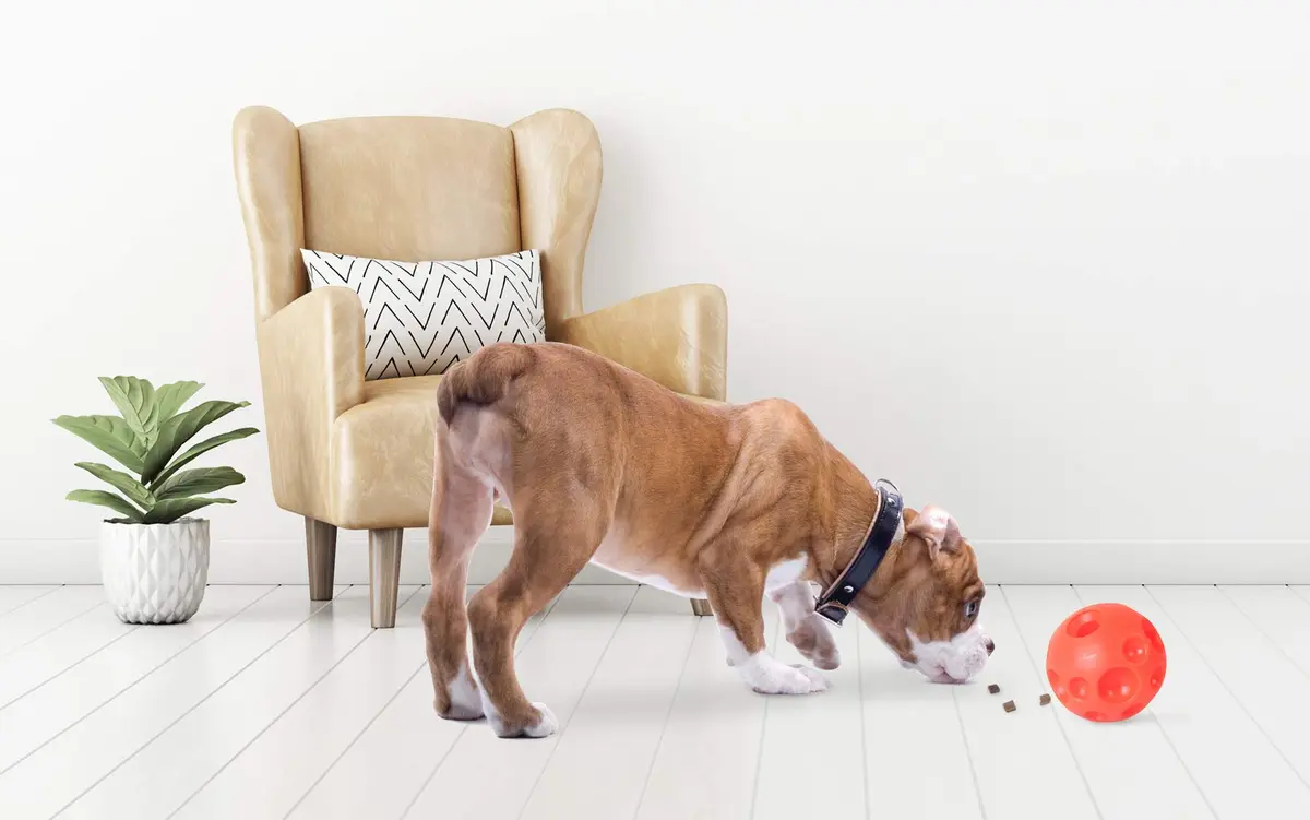 Omega Paw Tricky Treat Ball Large Orange | Interactive Treat Dispensing Dog Toy - view 2