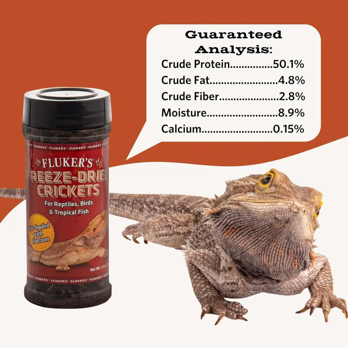 Fluker's Freeze Dried Crickets 1.2 oz (34g) | Nutrient-Rich Protein Snack for Reptiles, Birds, Fish - main product image