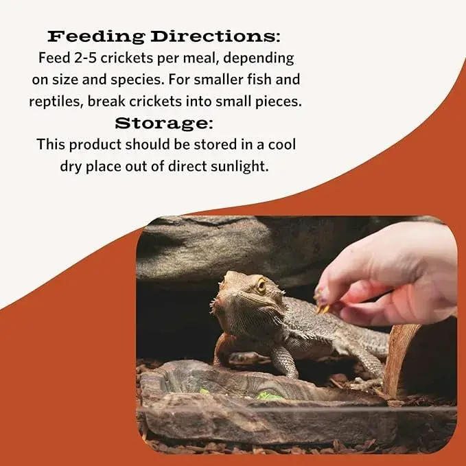 Fluker's Freeze Dried Crickets 1.2 oz (34g) | Nutrient-Rich Protein Snack for Reptiles, Birds, Fish - view 2