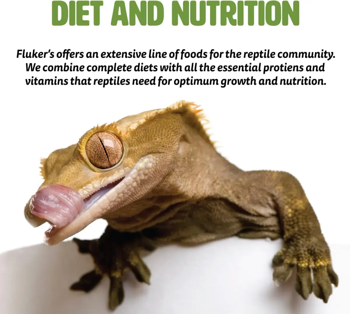 Fluker's Freeze Dried Crickets 1.2 oz (34g) | Nutrient-Rich Protein Snack for Reptiles, Birds, Fish - view 3