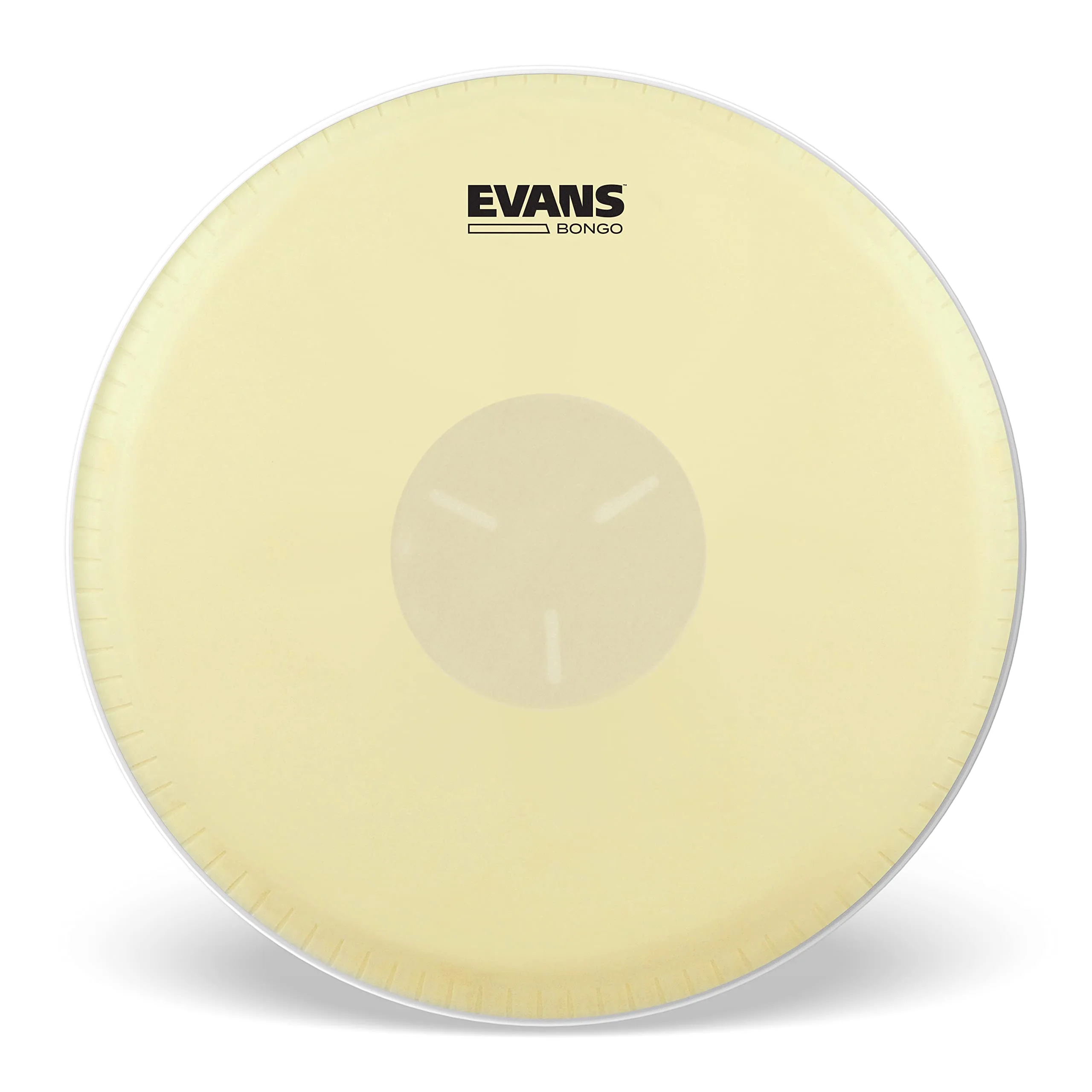 Snare Drumheads