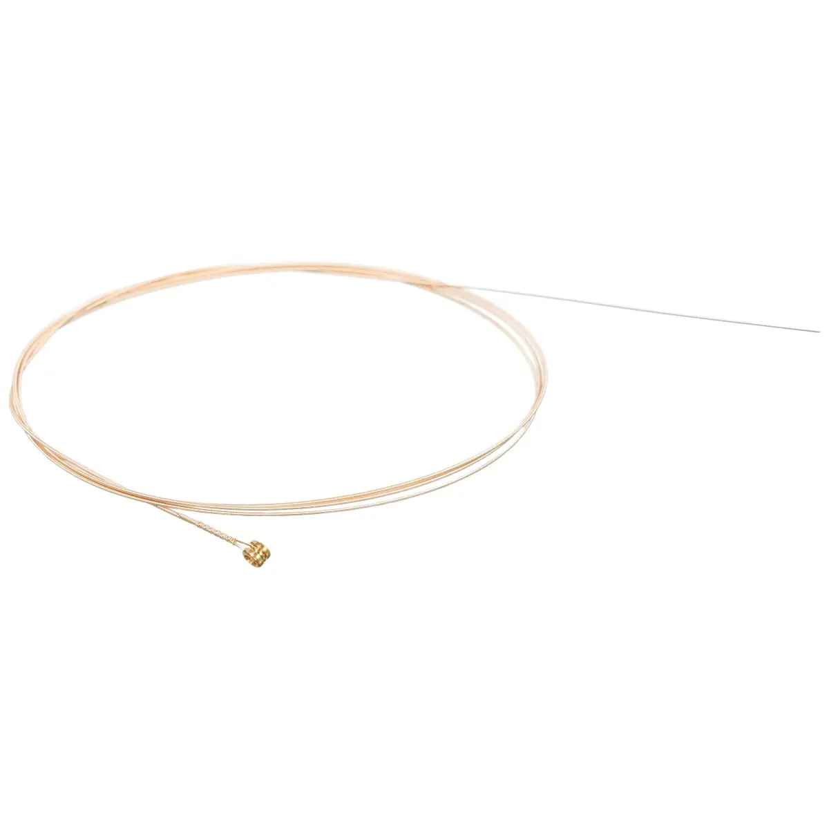 D'Addario PB030 Phosphor Bronze Wound Acoustic Guitar Single String, .030 Gauge (0.76 mm) - main product image