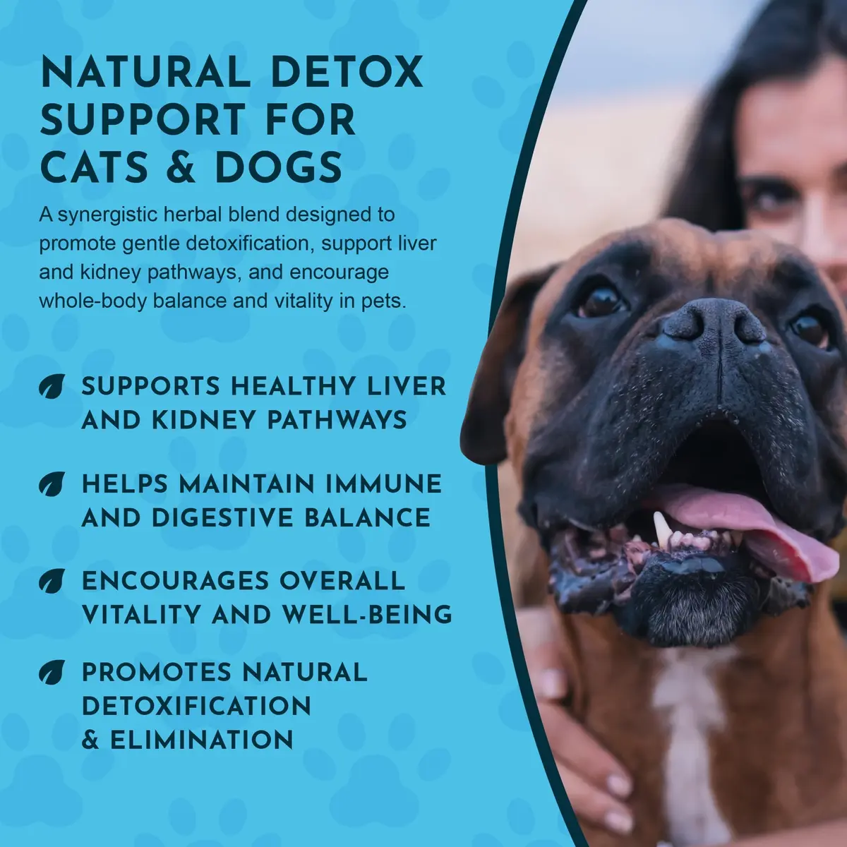 Animal Essentials Detox Blend - Liver Support for Dogs & Cats | Organic Herbal Formula, 1 Fl Oz - view 6