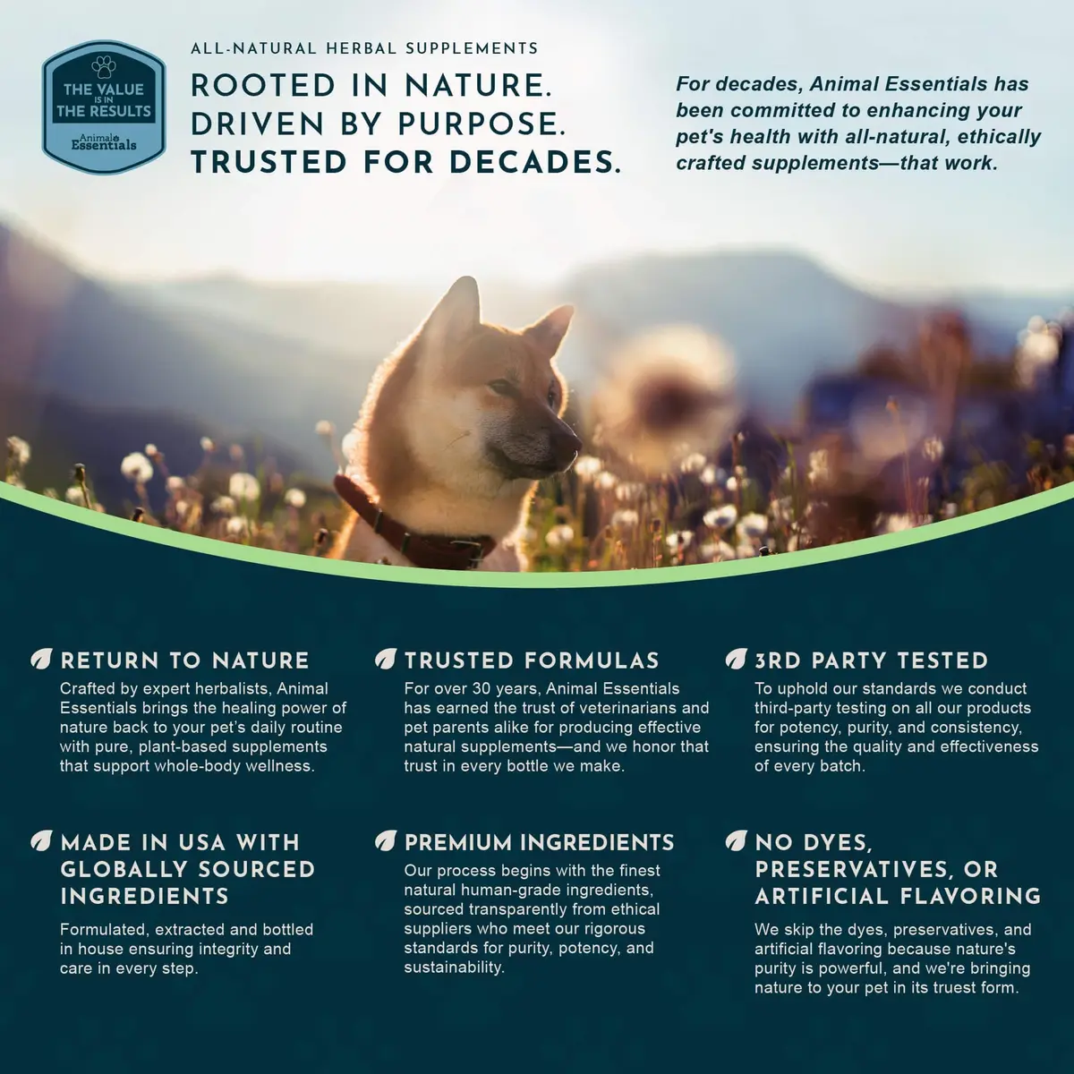 Animal Essentials Detox Blend - Liver Support for Dogs & Cats | Organic Herbal Formula, 1 Fl Oz - view 9