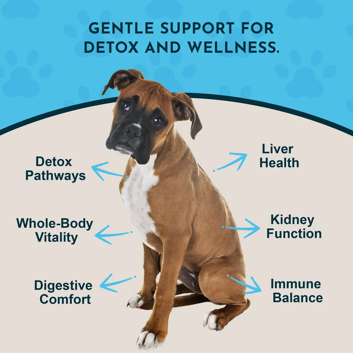 Animal Essentials Detox Blend - Liver Support for Dogs & Cats | Organic Herbal Formula, 1 Fl Oz - view 3