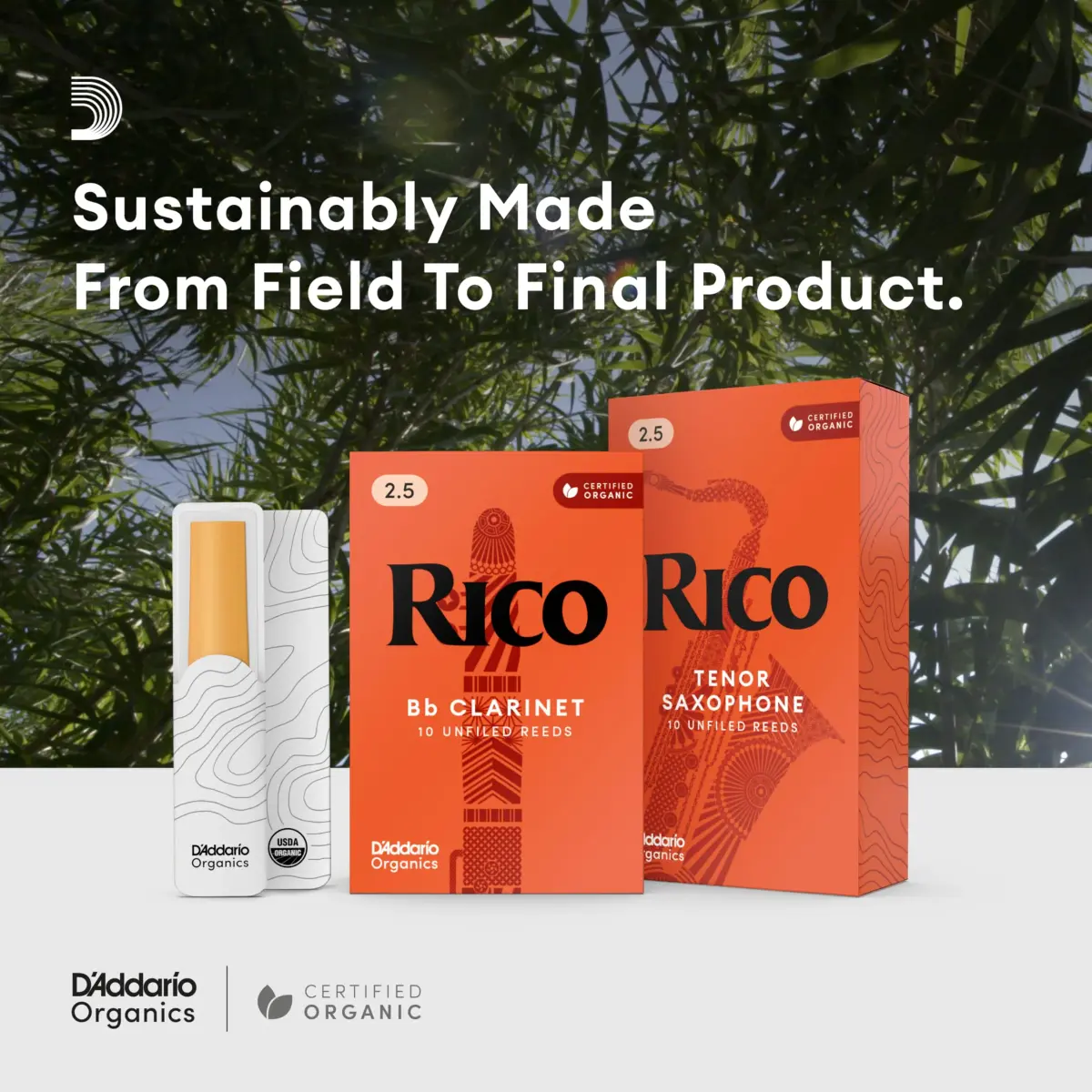 D'Addario Rico Organic Alto Saxophone Reeds, Strength 2.5, 10 Pack | Consistent Response for Beginners - view 5
