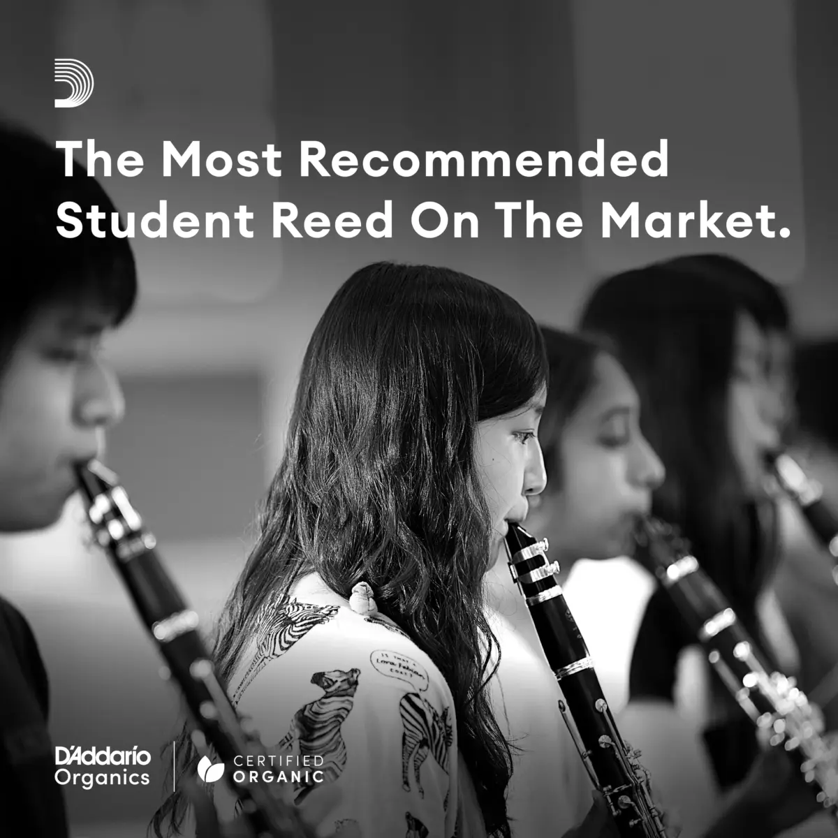 D'Addario Rico Organic Alto Saxophone Reeds, Strength 2.5, 10 Pack | Consistent Response for Beginners - view 6