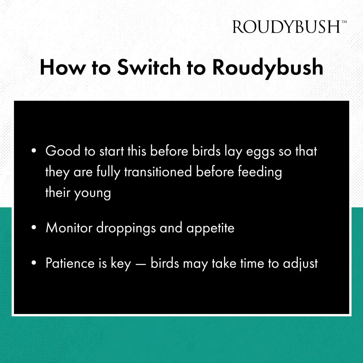 RoudyBush Daily Maintenance Bird Food Small Pellets 1.25 kg (44 oz) | Scientifically Formulated Nutrition - view 7